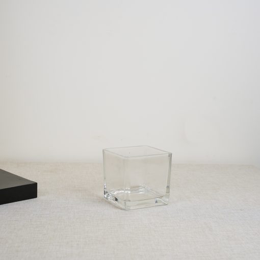Transparent Glass Vase