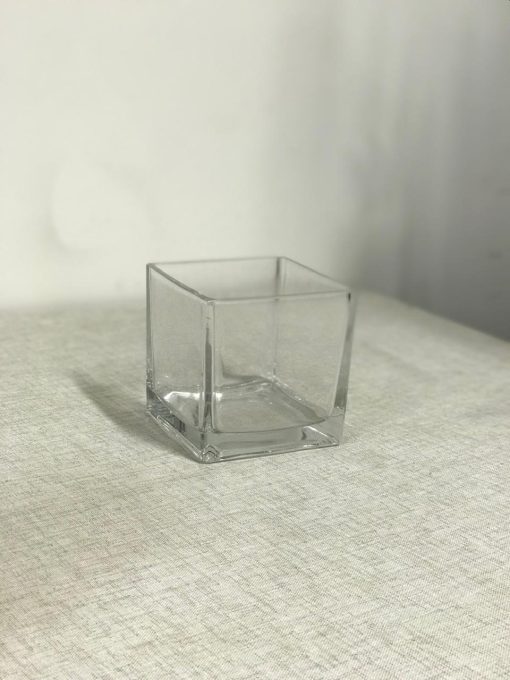 Transparent Glass Vase