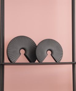 Fan in Japan